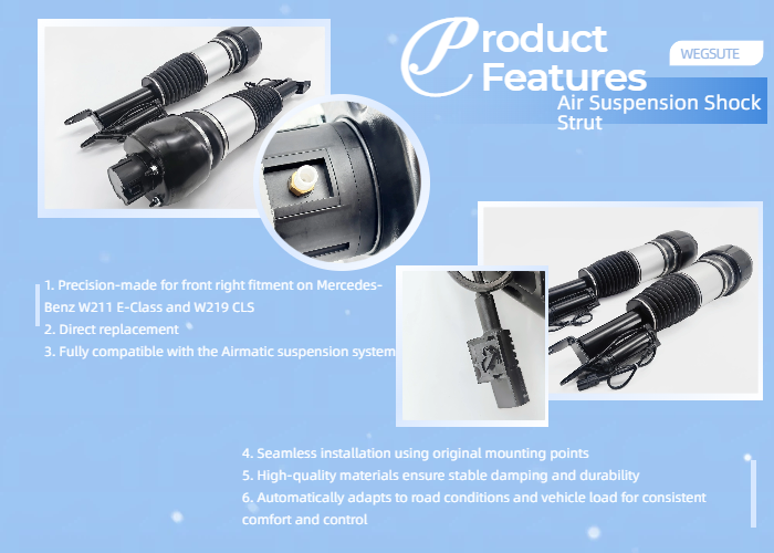 Front Pair Air Suspension Shocks Fits Mercedes E-Class W211 & CLS-Class W219 2113206113 2113205413 AIRMATIC with ADS