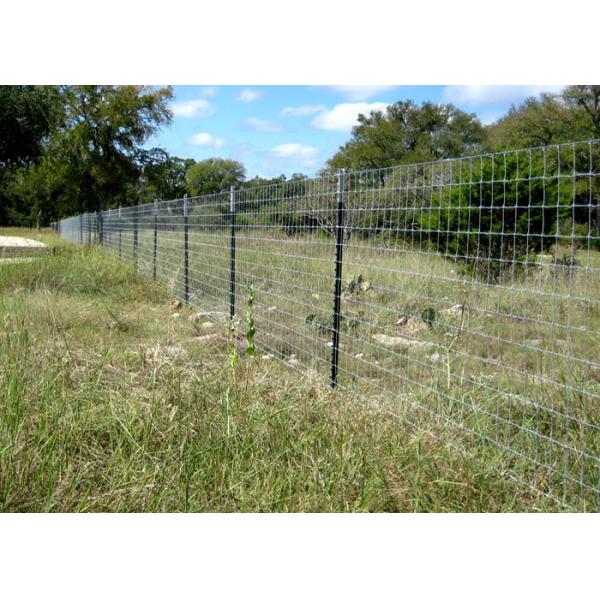 1.25LB Farm Metal T Post 8 FT Length High - Strength Weather Resistant