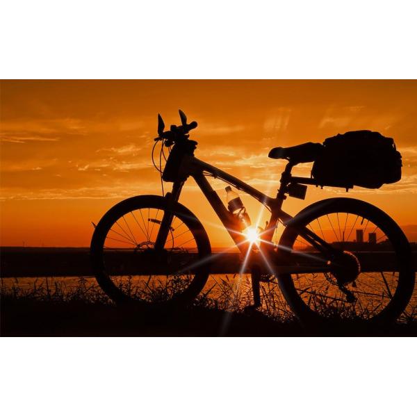 Bike Rear Rack Bag 10L Insulated Bike Trunk Cooler Reflective Bicycle Rear Seat Cargo Bag Water Resistant Bike