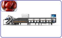 380V 50Hz 6 voies Robot machine de tri électrique pour les dates