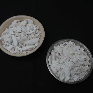 Trouvez la cendre osseuse parfaite pour vos besoins professionnels