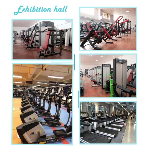 Professional Multi Gym Equipment Welded Frame Bodybuilding With Prone Leg Curl