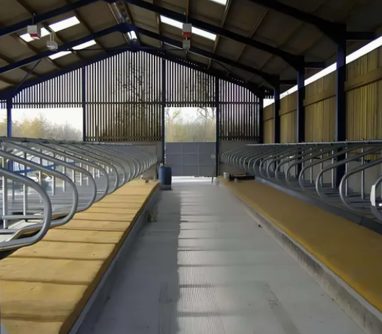 Hot-Dip Galvanized Steel Cattle Shed with Natural Ventilation and Customizable Design for Dairy and Beef Cattle