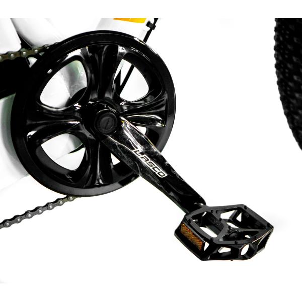 48V 14AH Rear Basket 4.0 Snow Tire Electric Cargo Tricycle with USA CE Certification