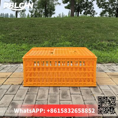 Convenient Smooth Secure Poultry Transportation 74cm*54cm*32cm Large Chicken Cage