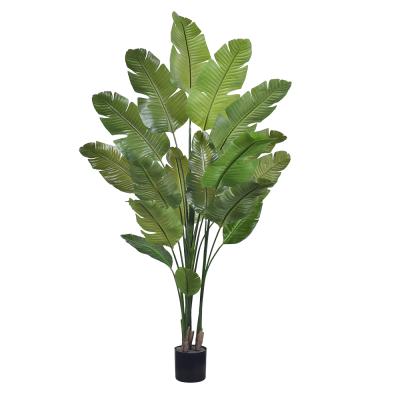 Haihong New Arrival Indoor Artificial Plants Realistic Bird Of Paradise Artificial Plant Tropical Palm Decoration Salon For Home