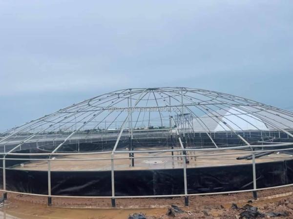 Galvanized Steel Pipe Circular RAS Fish Tank 10 Meter Fresh Water Automatic Feeding