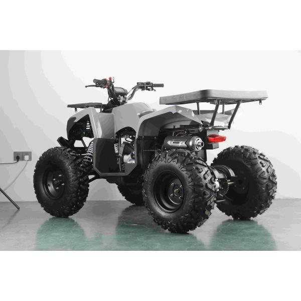 Powerful 200cc Gas ATV for Adults Maximum Torque of 40-60Nm and Top Speed of 75km/h