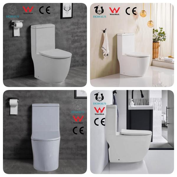 WaterMark Siphonic One Piece Toilet Bowl