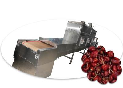 Conveyor Belt Microwave Vacuum Dryer Machine 120KW For Chili / Instant Noodles