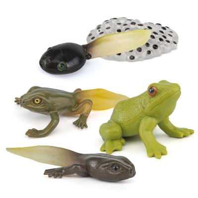 5 PCS Sapo Modelo de Ciclo de Vida Animal Brinquedo Toppers de Bolo Aprendizagem Brinquedos de Desenvolvimento para Meninos Meninas Crianças