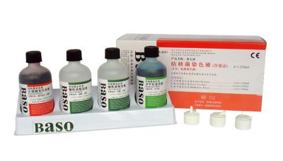 4×250mL 4×500mL 4×100mL Ziehl Neelsen tache de tuberculose pour l' identification des bactéries acides rapides
