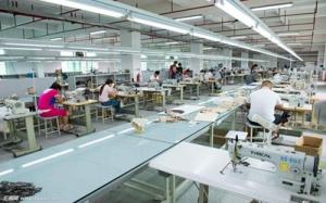 Hebei Zhaoyang Medical Instrument Co., Ltd.