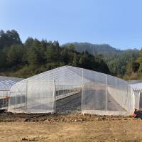 Túnel plástico da estufa da baixa estufa transparente impermeável do túnel único