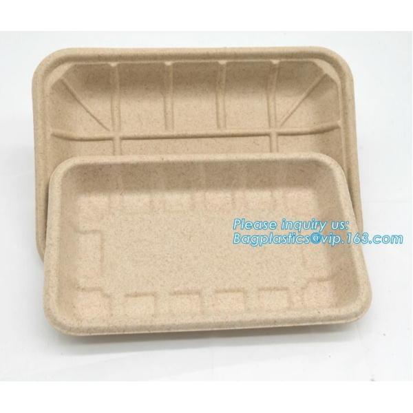 Biodegradable & Compostable 8 inchSquare sugarcane trays,sugarcane pulp compostable serving tray,lunch tray bagasse suga