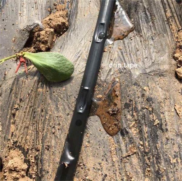 Caixas de gotejamento de tubos de polietileno de 16 mm de alta qualidade Sistema de irrigação agrícola
