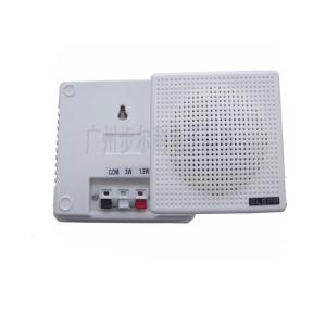 Wall Mount Loudspeakers