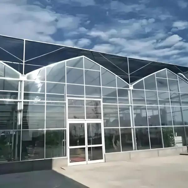 Agricultura Invernadero de policarbonato para la plantación de uvas