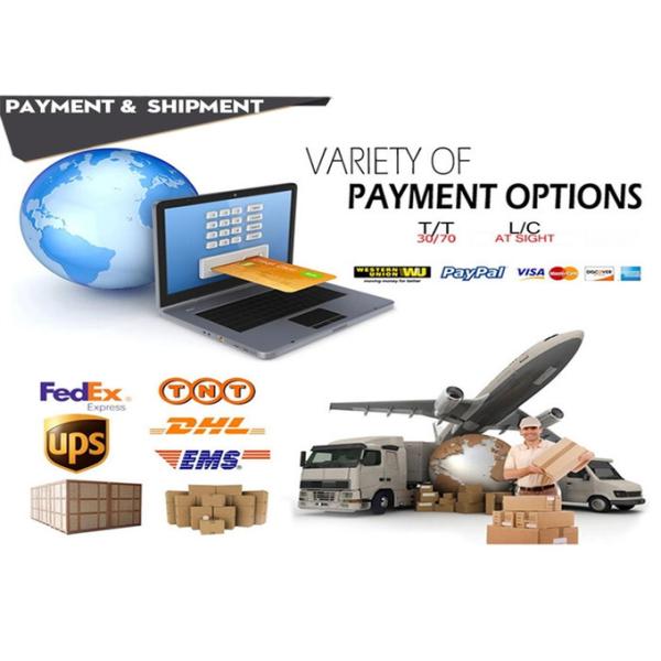 0680705 0680735 680735 масляный насос высокой эффективности 680705 для моделей ДАФ