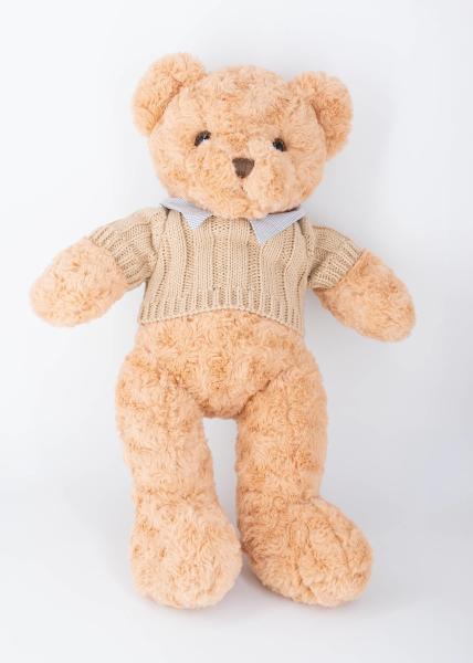 45cm Cute Stuffed Teddy Bears Bow Tie Hoodies Plush Toys Strippable Sweater Bear