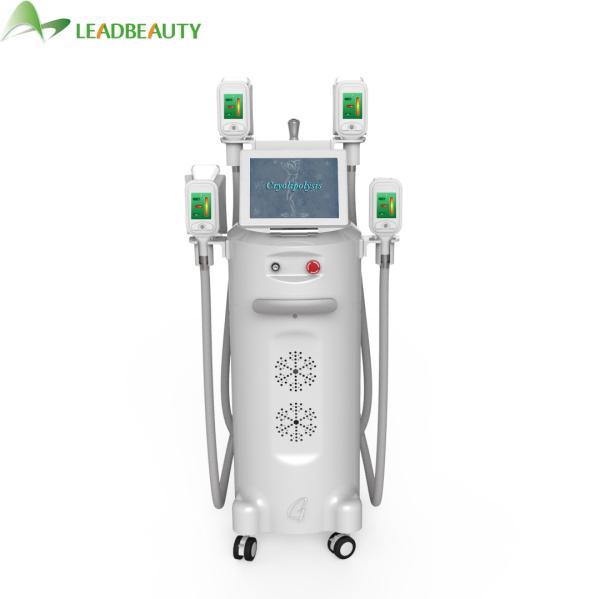 Body Weight Loss Sculpting Slimming Freeze Fat 4 handles cryolipolysis body slimming weight loss