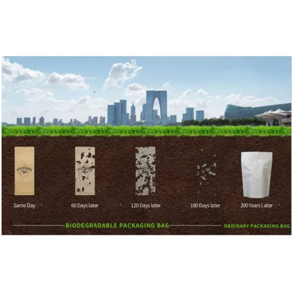 Compostable 250gr 500gr 1kg Kraft Paper PLA Box Bottom Coffee Packaging Bags Valve