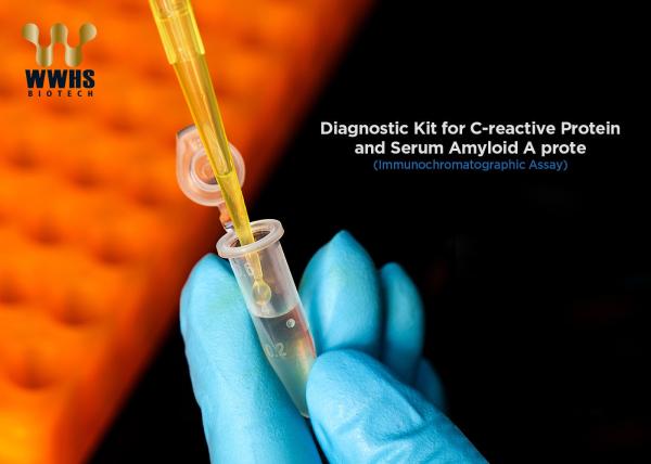 3000 Tests/Day C Reactive Protein Test Kit  25T POCT IVD Assay