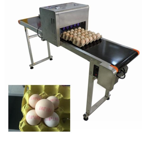 High Speed Egg Date Code Printing Machines With Continuous Spray Printing Function