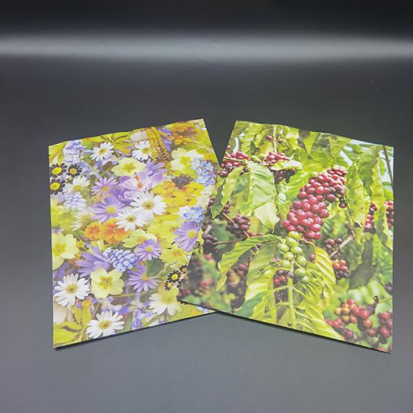 CTP Printed Compostable Packaging Bags Kraft Paper / PLA Custom Standing Pouch