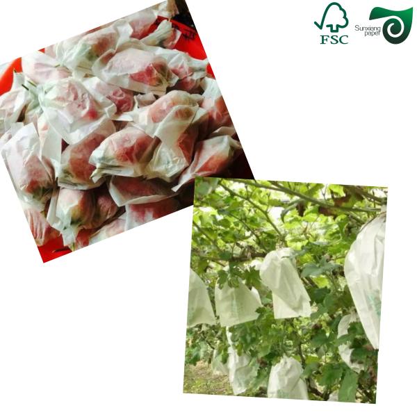 FSC 40gsm 90gsm White Waterproof Paper For Grape Vegetable Wrapping Bags