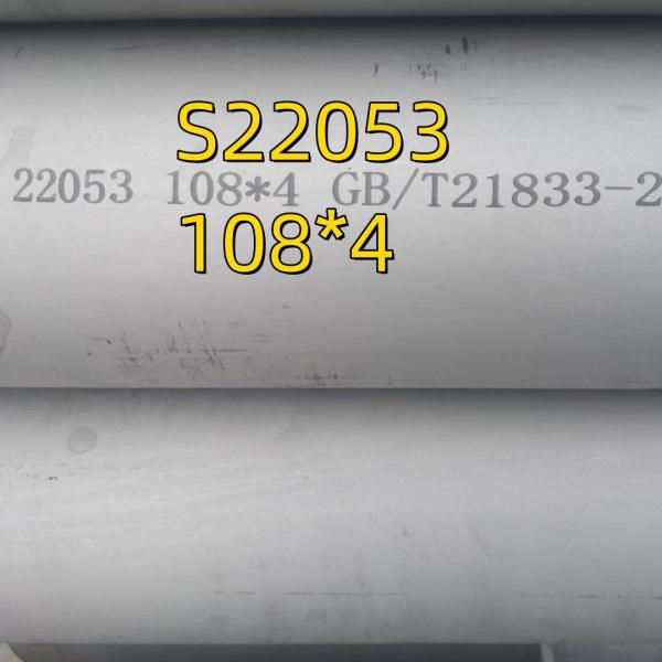 Seamless Stainless Steel Tube Pipe Duplex 2205 2 Sch-10 DIN1.4462 ASTM A790  S22053 S31803