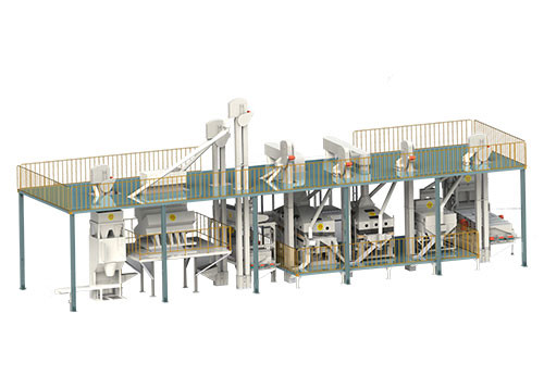 Beans Processing Line