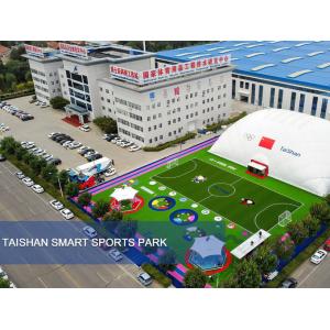 Leling Taishan Artificial Turf Industry Co.,Ltd.