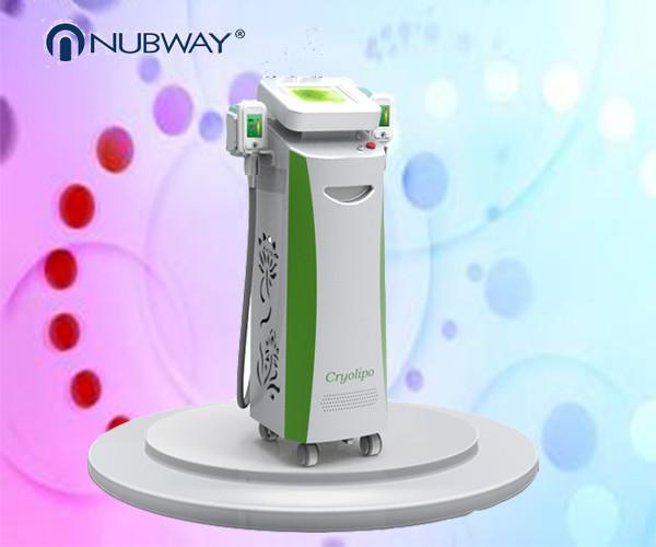 record low price year end promotion super cool -15℃ simultaneous double head work Cryopolysis body slimming machine