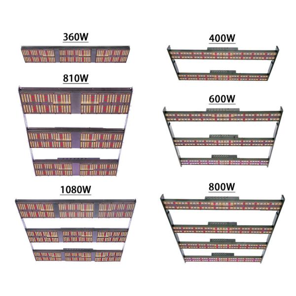 полное СИД спектра 1080W растет света 5X5 5000K крутое белое 2.65umol/J