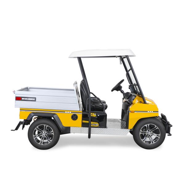 Excar Новый Дизайн Модель Электрический Мини Бугги Автомобиль Улитетный инструмент Автомобиль Домашнее хозяйство Автомобиль для продажи