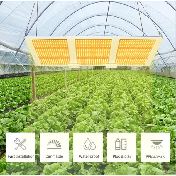 Dimming 660nm 300W IP65 Waterproof LED Plant Light 50000H