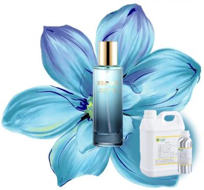 Perfumes de marca altamente concentrados para fazer os homens perfumarem