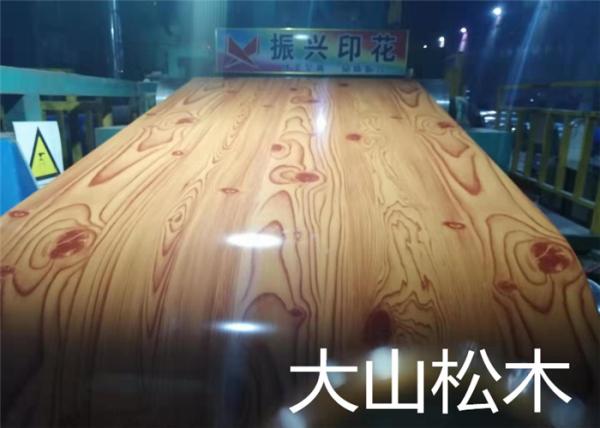 Color coated flower design PPGI Prepainted Galvanized Steel Coil