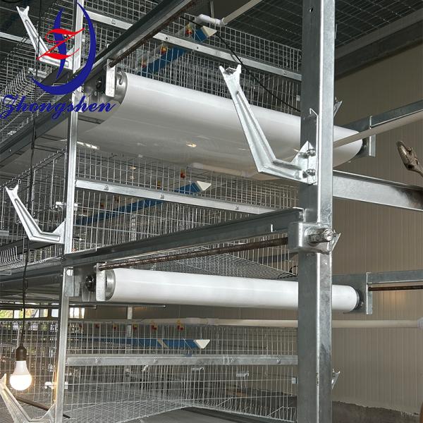Zhongshen Brand Manure Conveyor Belts - Premium Quality, Proven Performance
