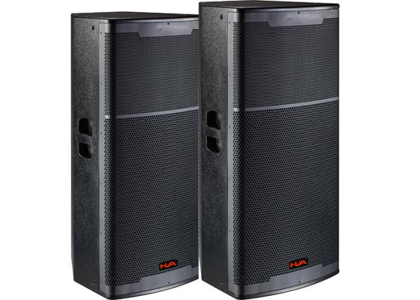 Intdoor  Dual 15 Inch Subwoofer Speakers Dj Sound System for  Dance Hall