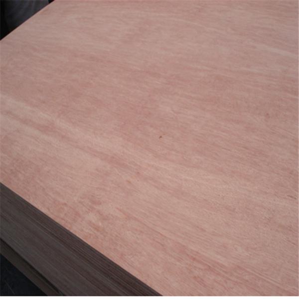 Hotel Bintangor Back 610*2440mm Green Panel Plywood