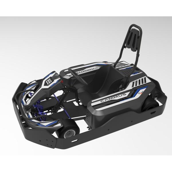 5inch Hub Children Pro Electric Go Kart Max 32km/h