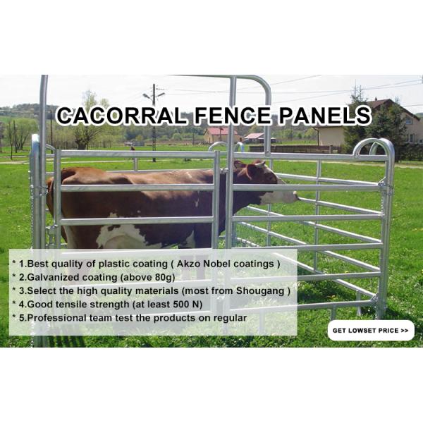 Поголовье обшивает панелями 6 скотин ограждать провода борова овальной Адвокатуры низких гальванизировало панели загородки поголовья