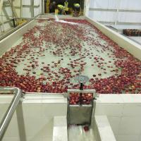 1500 tons berry mixed fruit and vegetable puree production line Twin-screw beating technology