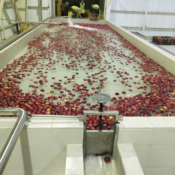 1500 tons berry mixed fruit and vegetable puree production line Twin-screw beating technology