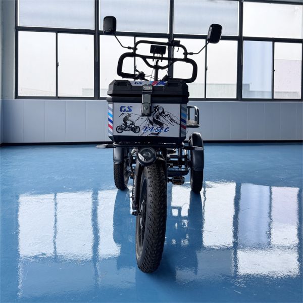 Bicicleta eléctrica de tres ruedas monoplaza con alto rendimiento