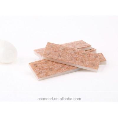 Acu Press Needles 0.2mm X 1.5mm Package Quantity 100 Pieces Per Box for Traditional Chinese Medicine Treatment in Bulk