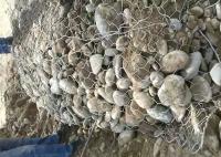Malha tecida ISO9001 de Gabion da gaiola do fio da parede de pedra do saco saco Columniform aprovada