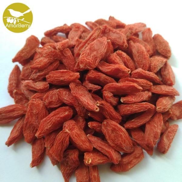Amorberry China NingXia dried Goji berry Chinese Organic Sweet taste and Dried Style Goji Berries